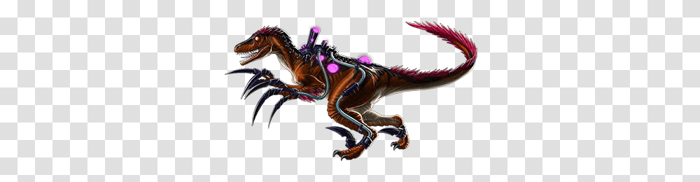 Image, Dragon, Person, Human, Wasp Transparent Png