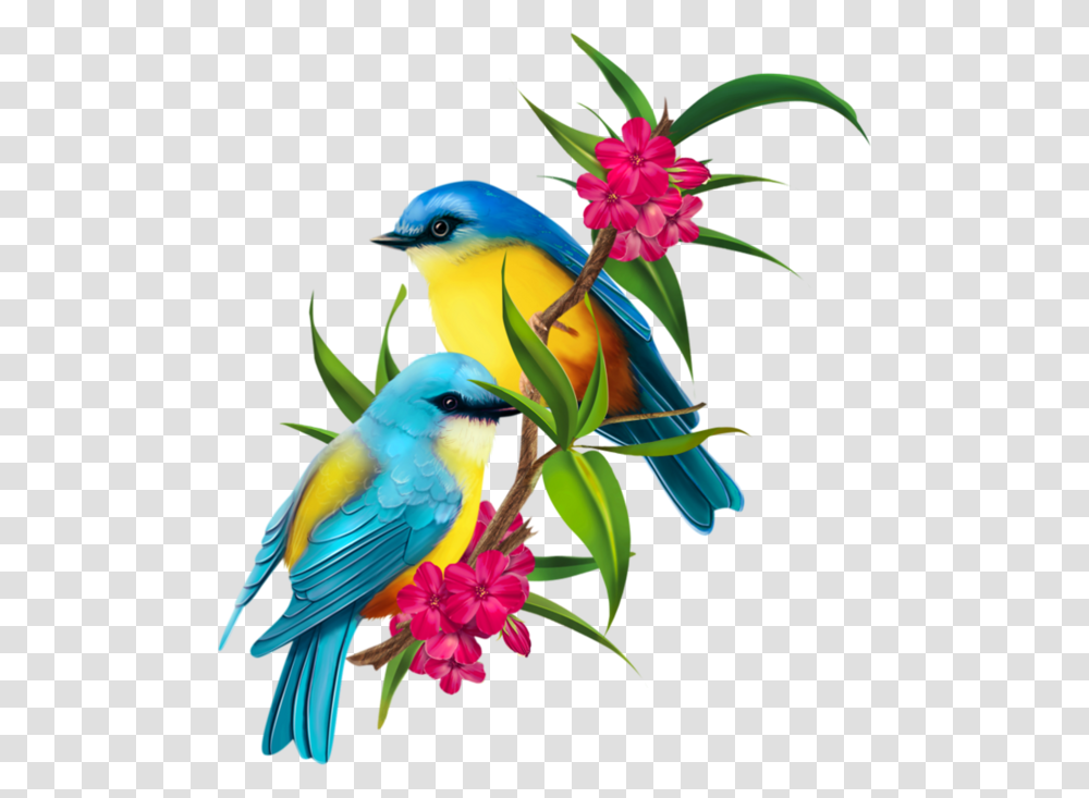 Image Du Blog Clip Arts, Bird, Animal, Bluebird, Jay Transparent Png