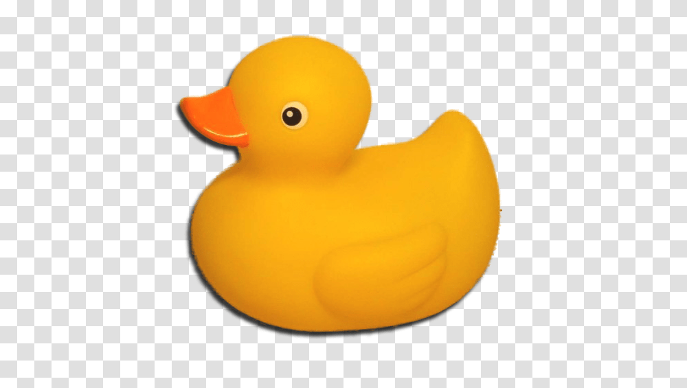 Image, Duck, Bird, Animal, Toy Transparent Png