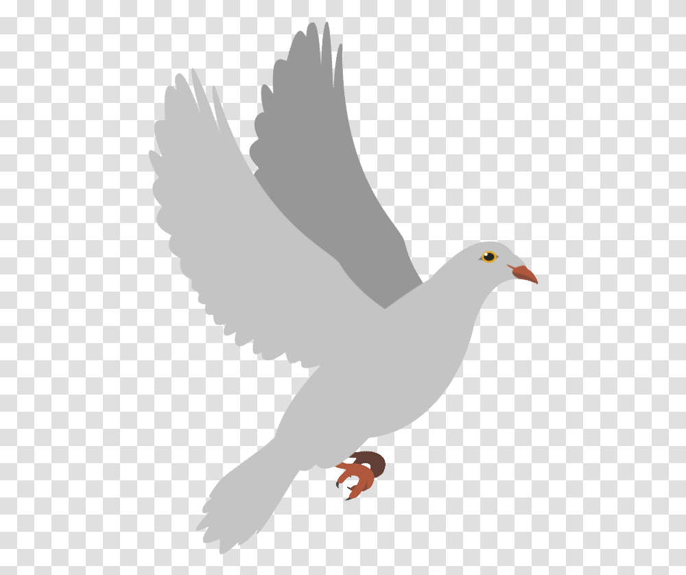 Image Dumbledore S Army Peace Dove Flying Gif, Bird, Animal, Pigeon Transparent Png
