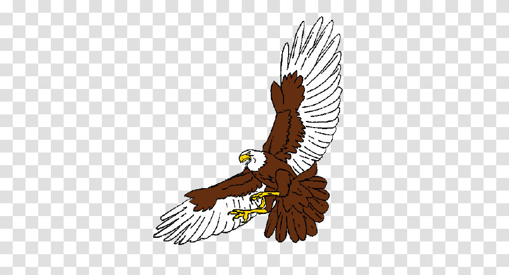 Image, Eagle, Bird, Animal, Flying Transparent Png