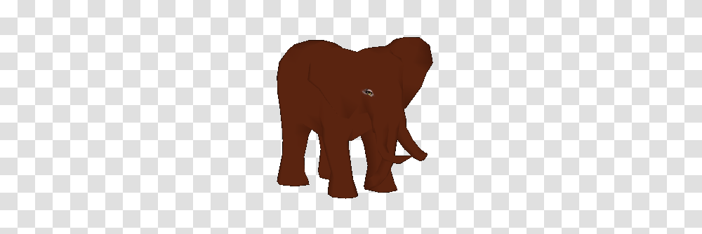 Image, Elephant, Wildlife, Mammal, Animal Transparent Png