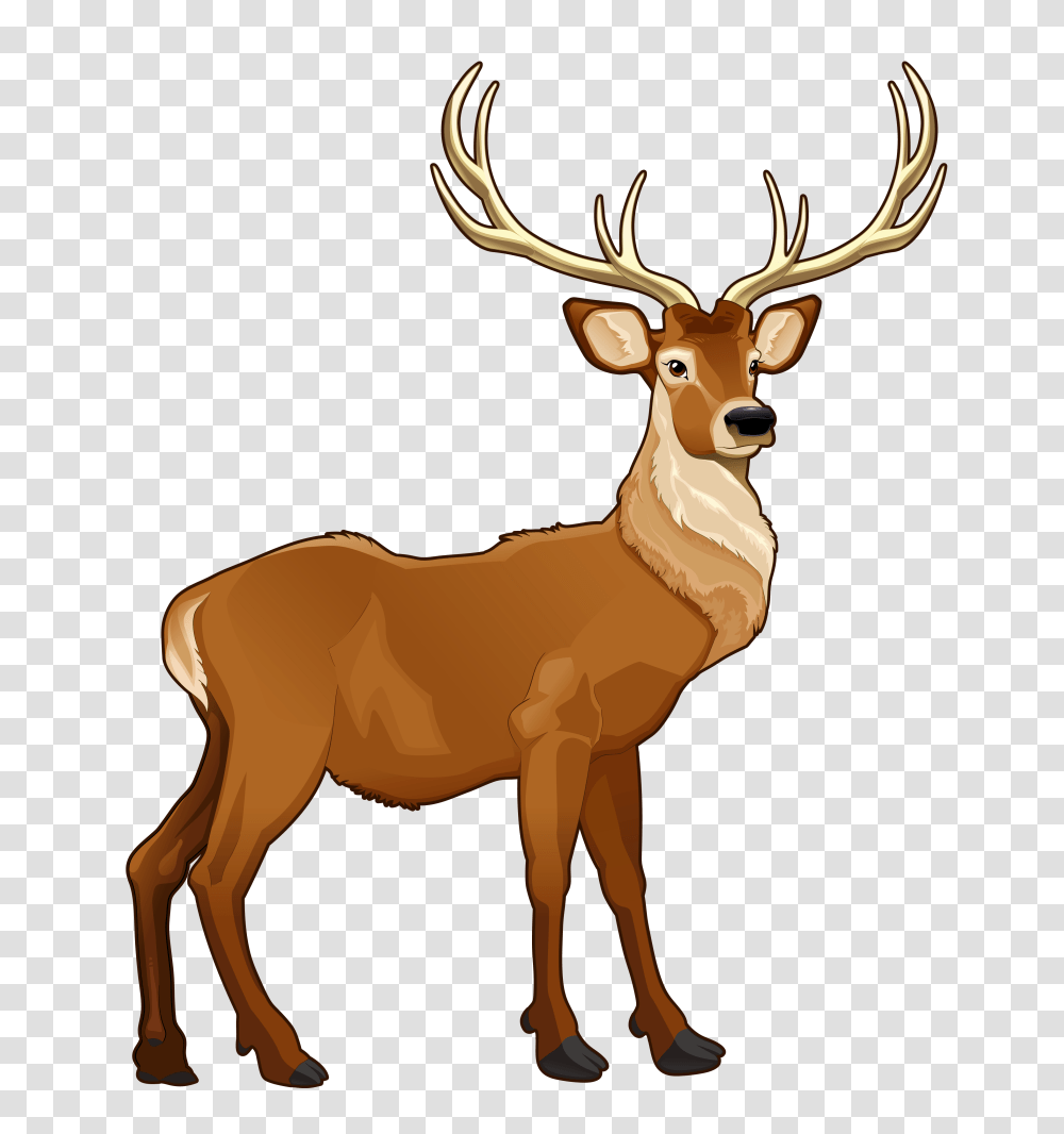 Image, Elk, Deer, Wildlife, Mammal Transparent Png