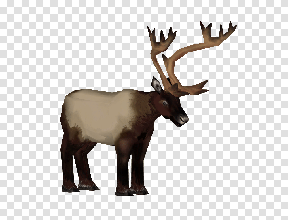 Image, Elk, Deer, Wildlife, Mammal Transparent Png