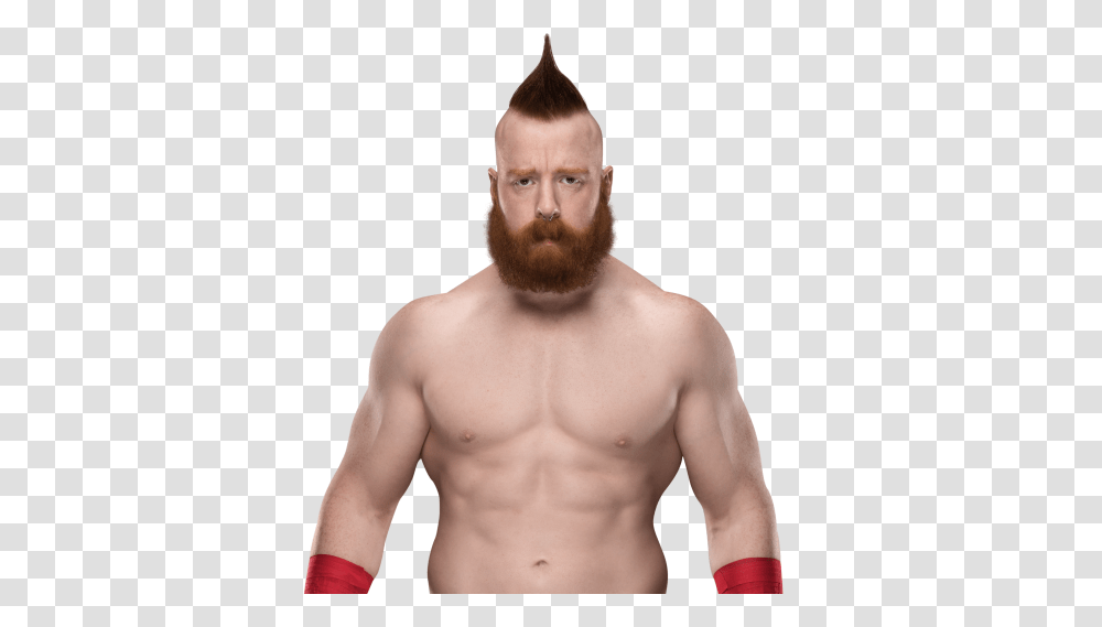 Image, Face, Person, Human, Beard Transparent Png