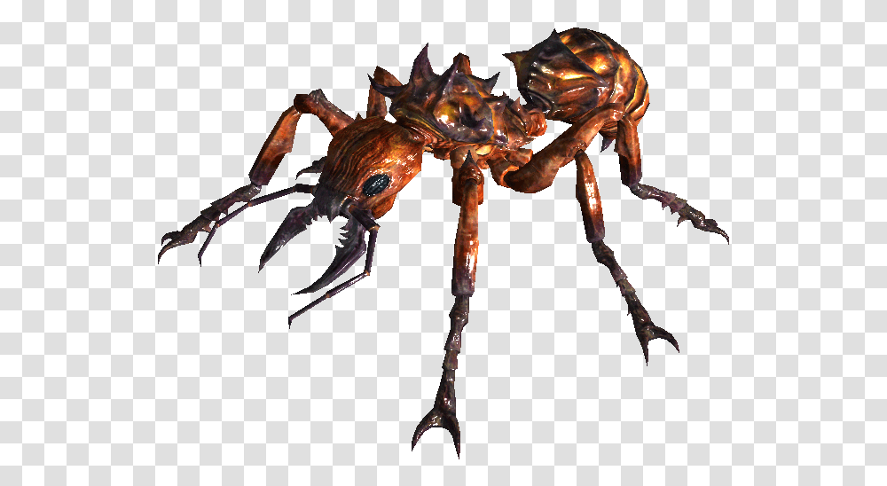 Image Fallout 3 Giant Ant, Seafood, Animal, Sea Life, Spider Transparent Png