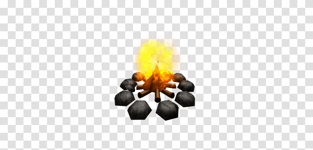 Image, Fire, Plant, Flame, Person Transparent Png