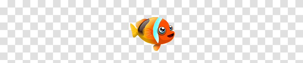 Image, Fish, Animal, Goldfish Transparent Png