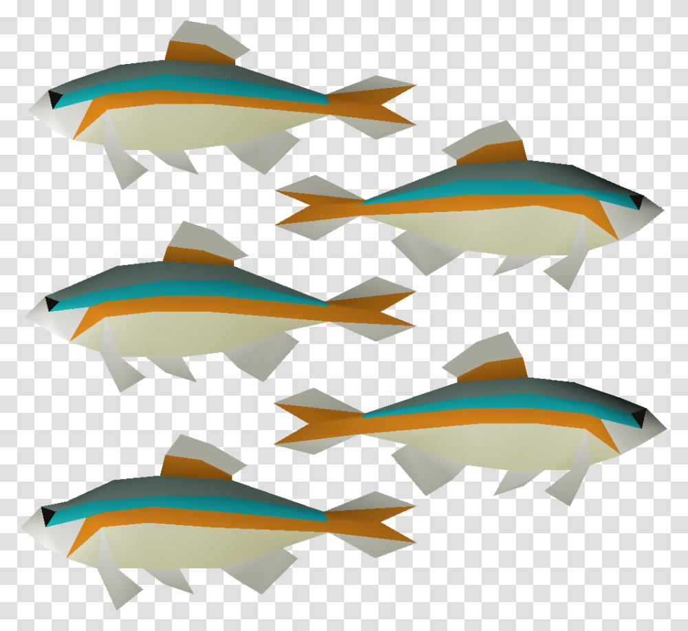 Image, Fish, Animal, Sea Life, Tuna Transparent Png