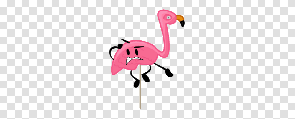 Image, Flamingo, Bird, Animal Transparent Png