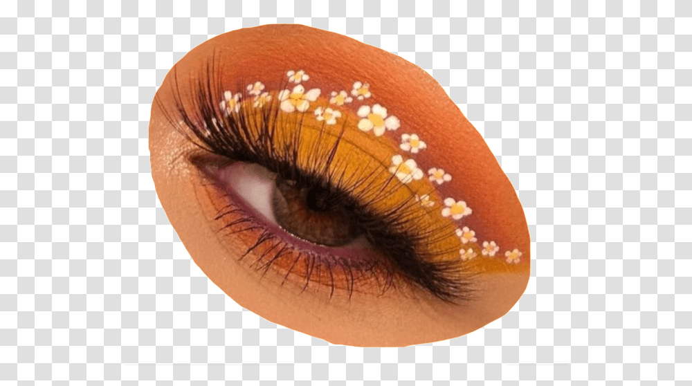 Image Flower Eye Makeup, Cosmetics, Mascara, Photography, Person Transparent Png