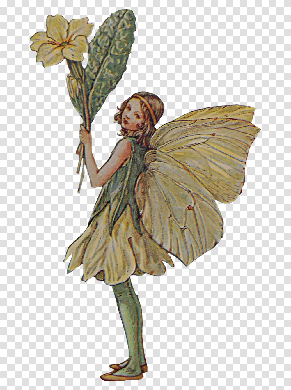 Image Flower Fairy, Person, Human, Angel Transparent Png