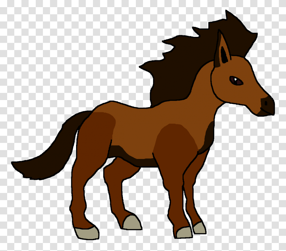 Image, Foal, Horse, Mammal, Animal Transparent Png