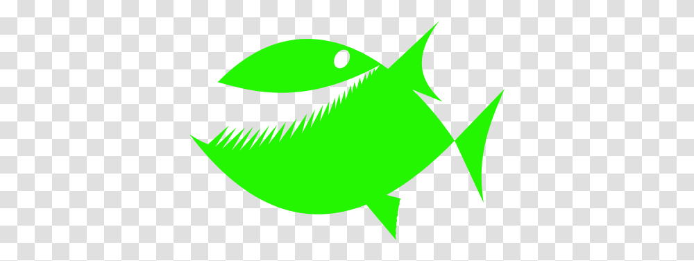 Image For Fish Toothy Green Animal Clip Art Animal Clip Art Free, Sea Life, Water, Puffer, Surgeonfish Transparent Png