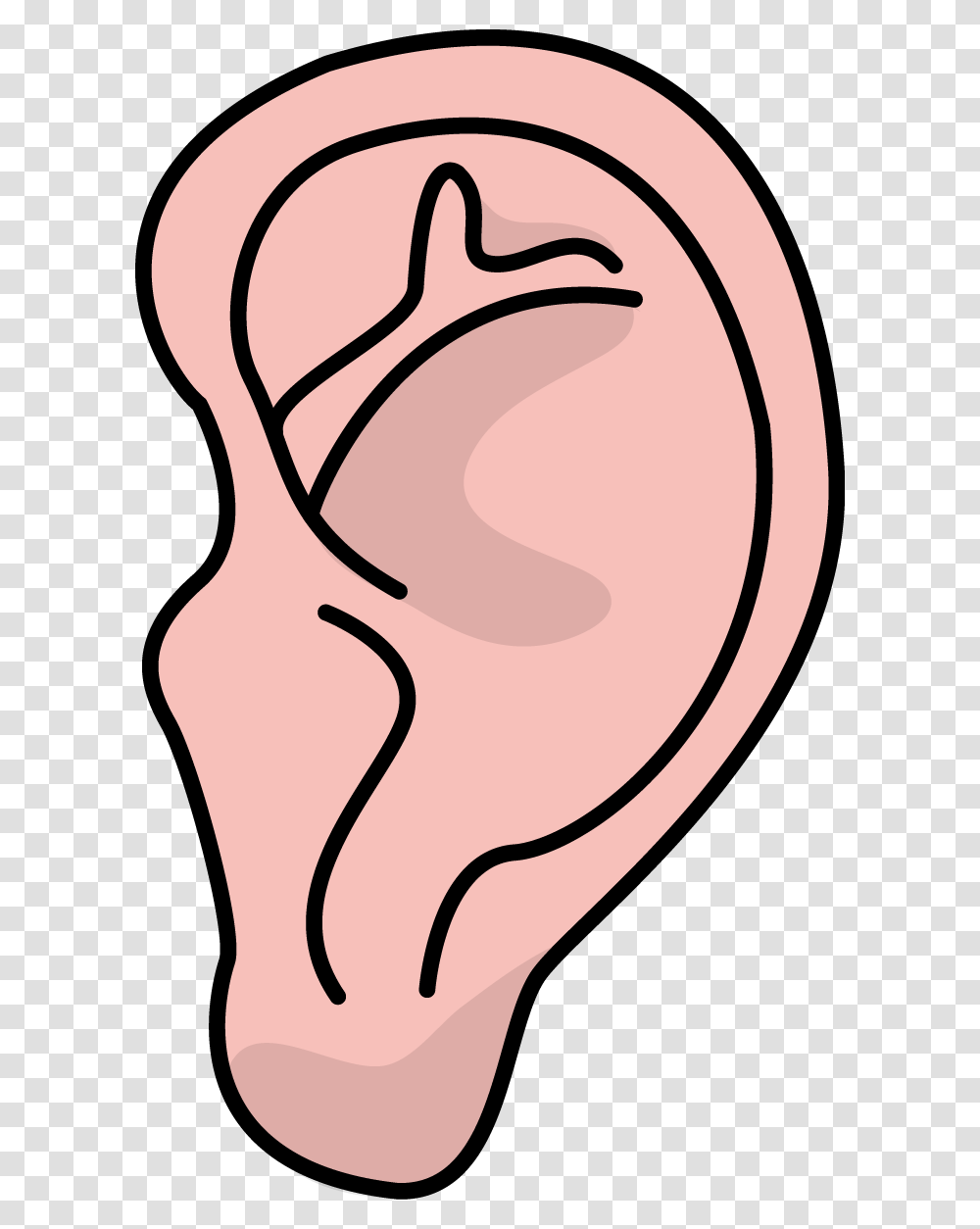 Image For Free Ear Health High Resolution Clip Art Health Clip Transparent Png