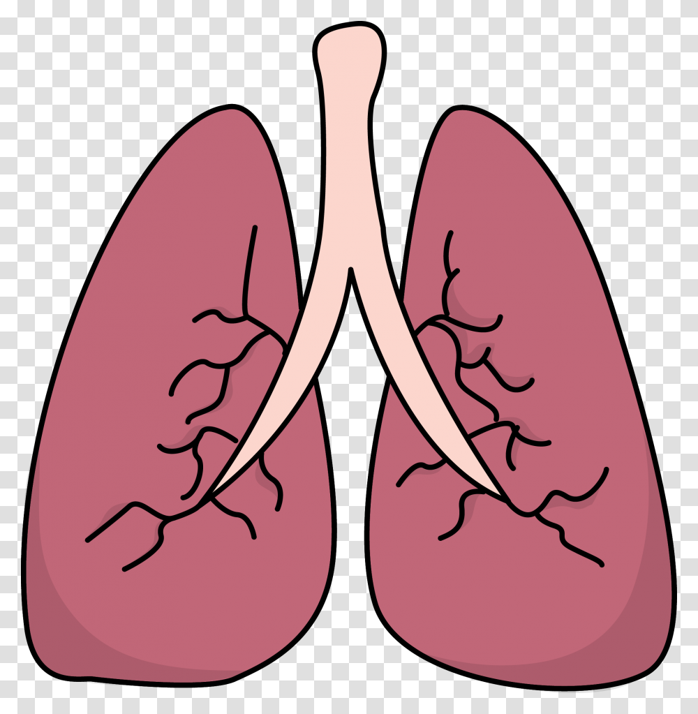 Image For Free Lungs Health High Resolution Clip Art Med Stuff, Apparel, Footwear, Flip-Flop Transparent Png