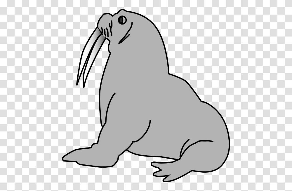 Image For Seal Animal Clip Art Animal Clip Art Free Download, Mammal, Baseball Cap, Hat Transparent Png
