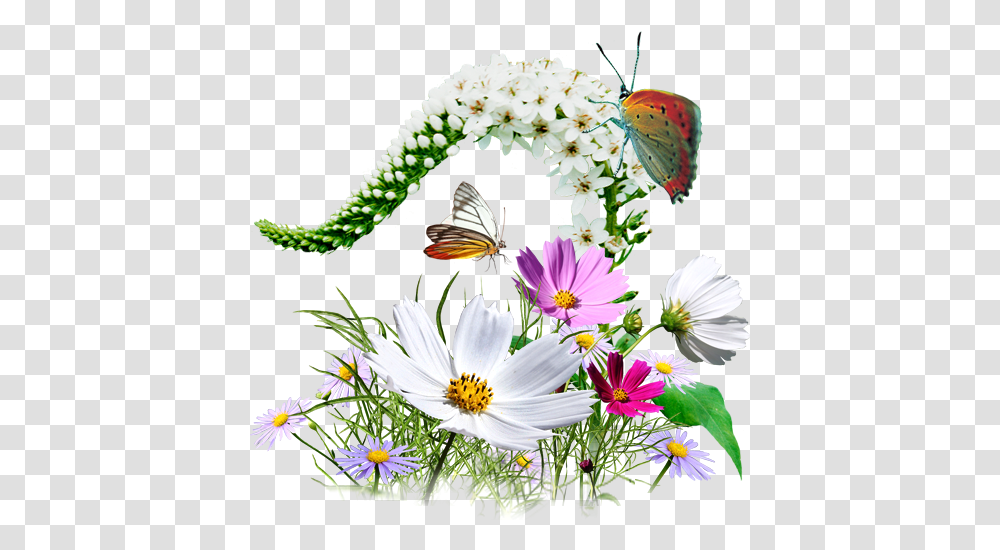 Image Format Download Wild Flower Icon, Plant, Daisy, Pollen, Asteraceae Transparent Png