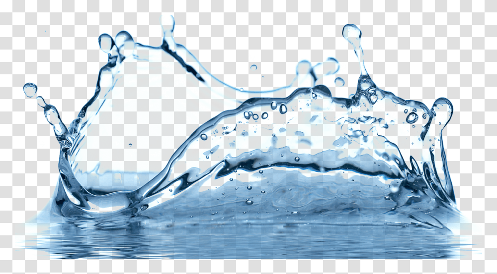 Image Free Drops Water Drops On Background, Droplet, Outdoors, Ripple, Animal Transparent Png