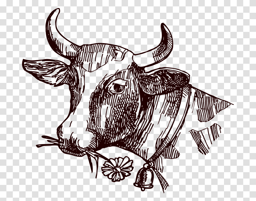 Image Freeuse Stock Texas Longhorn Milk Sketch Cow Sketch, Animal, Sea Life, Food, Antelope Transparent Png
