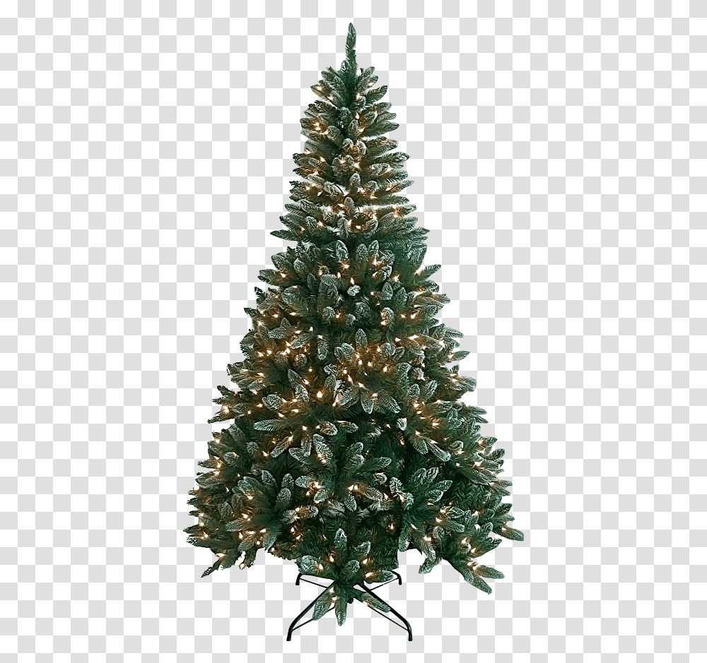 Image Fresh Noble Christmas Tree, Ornament, Plant, Pine Transparent Png