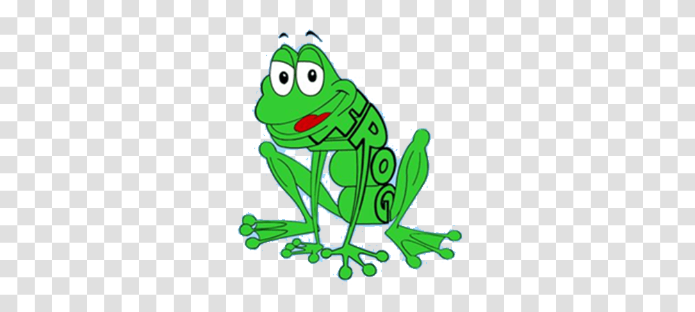 Image, Frog, Amphibian, Wildlife, Animal Transparent Png