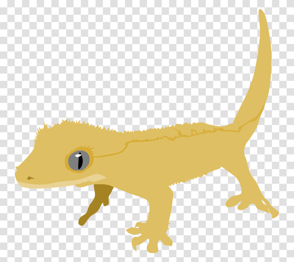 Image, Gecko, Lizard, Reptile, Animal Transparent Png