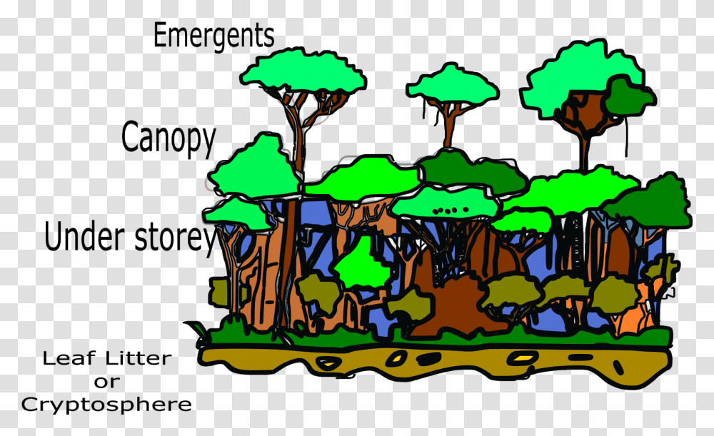 Image Geography Structure Of A Rainforest, Outdoors, Nature, Art, Landscape Transparent Png