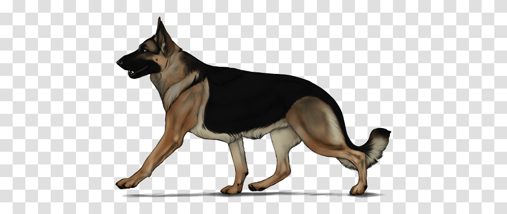 Image, German Shepherd, Dog, Pet, Canine Transparent Png