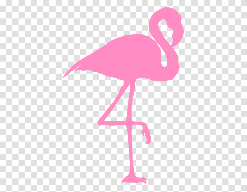 Image Gratuite Sur Pixabay Flamingo, Cross, Symbol, Bird, Animal Transparent Png