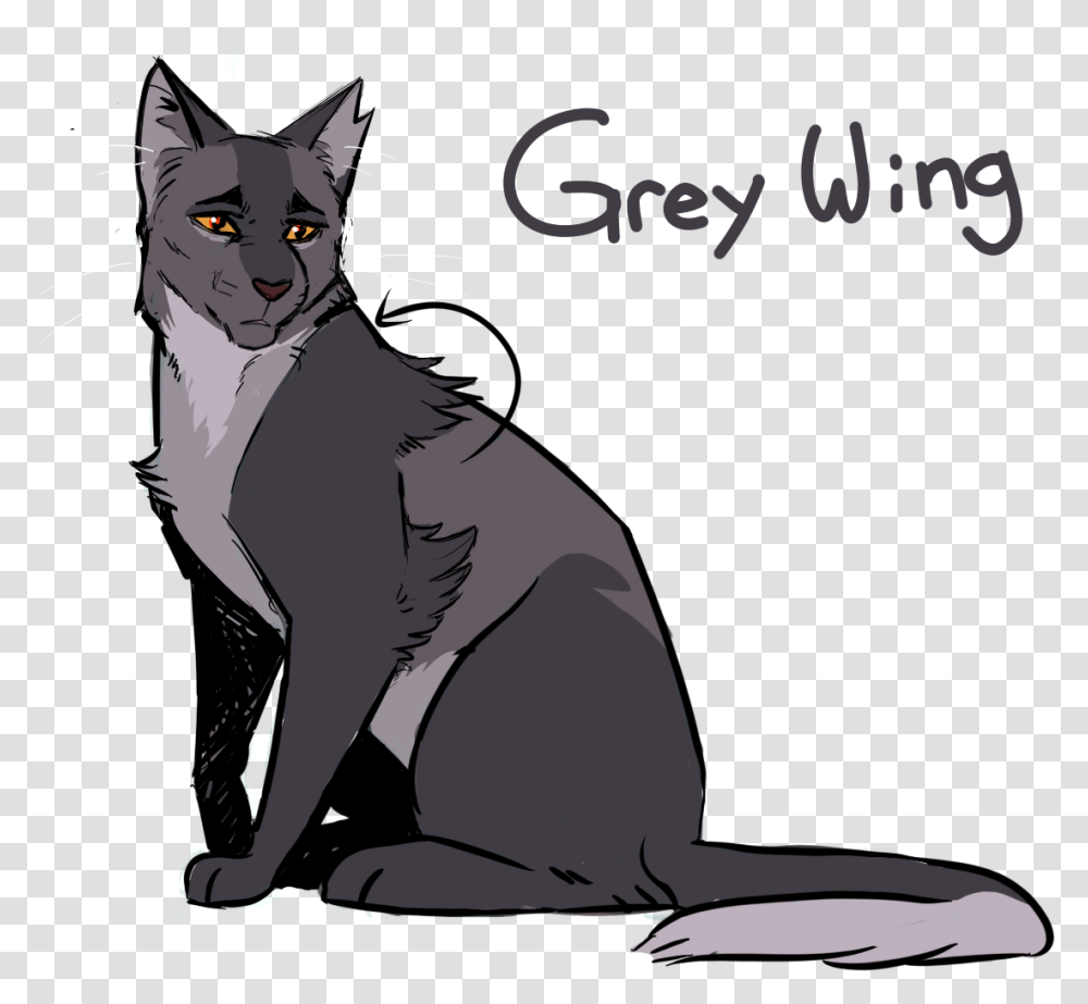 Image Gray Wing Warriors, Cat, Pet, Mammal, Animal Transparent Png