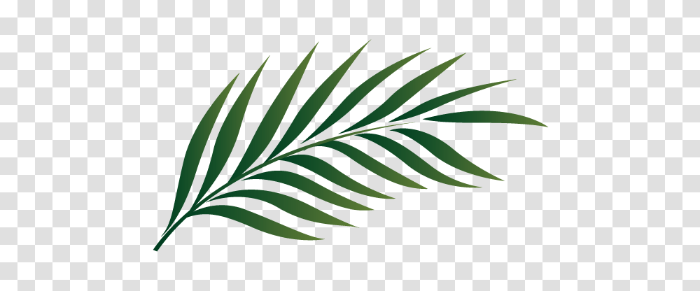 Image, Green, Leaf, Plant, Bird Transparent Png