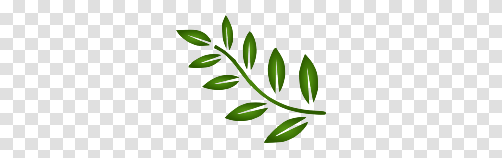 Image, Green, Leaf, Plant Transparent Png