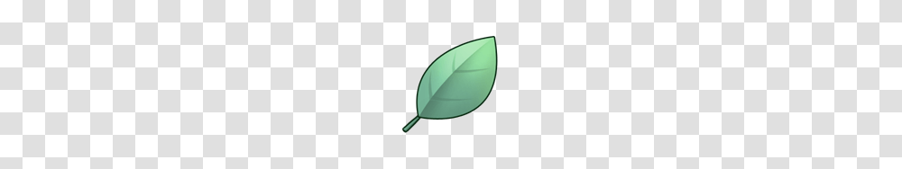 Image, Green, Leaf, Plant, Lamp Transparent Png