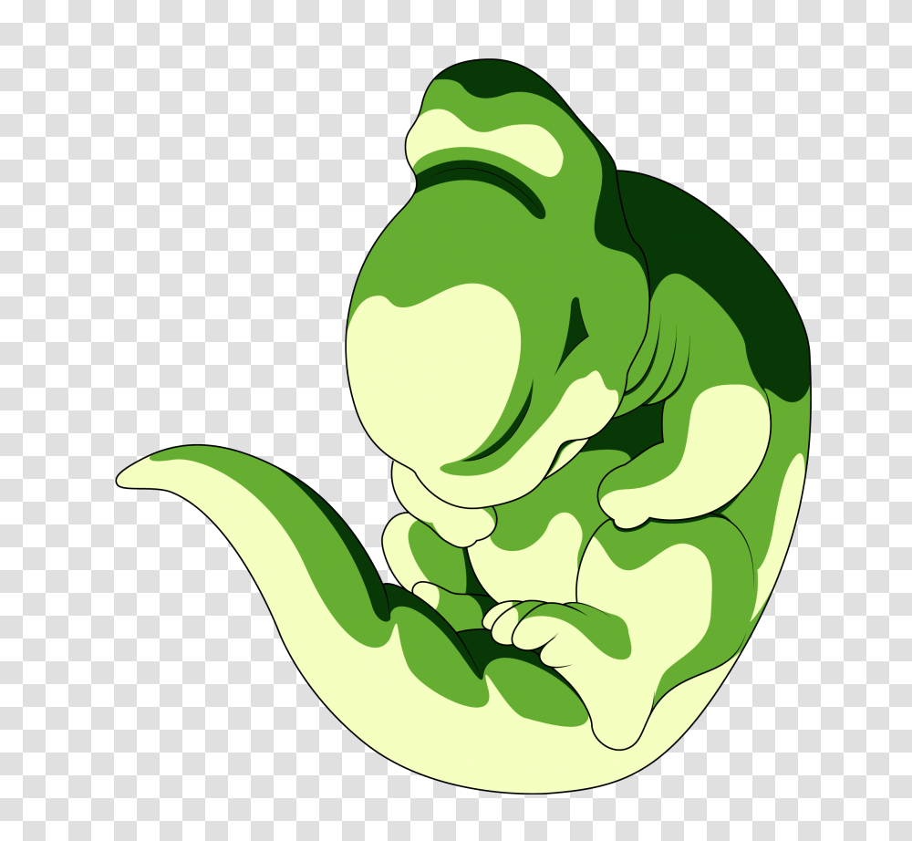 Image, Green, Plant, Animal, Amphibian Transparent Png