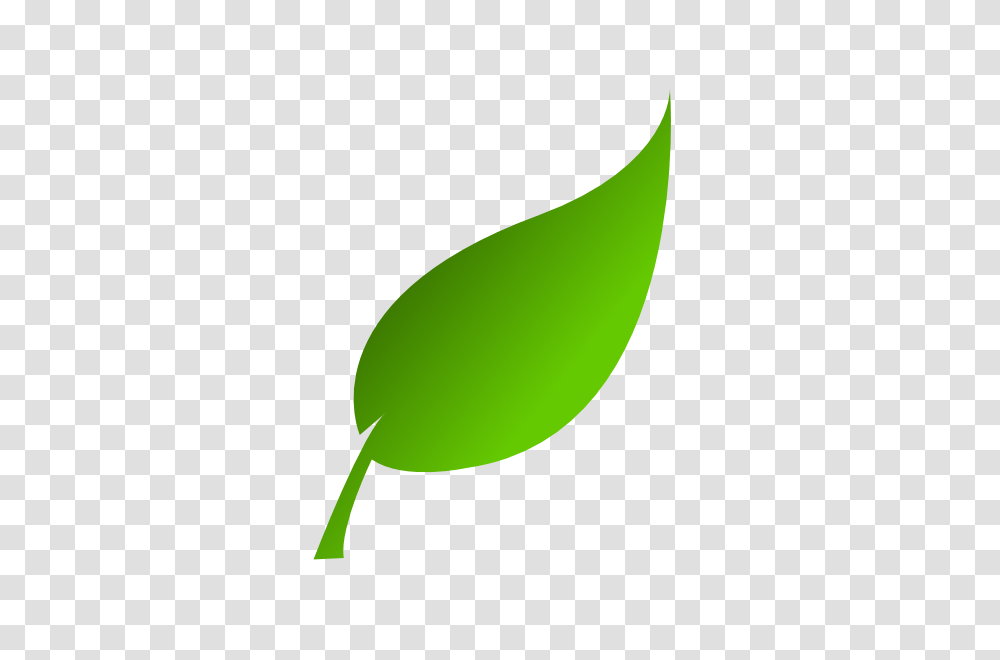 Image, Green, Plant, Leaf, Sprout Transparent Png