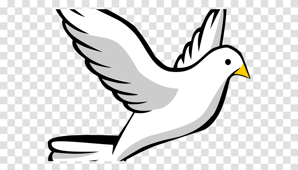 Image Group An Holy Spirit Doves, Bird, Animal, Logo Transparent Png