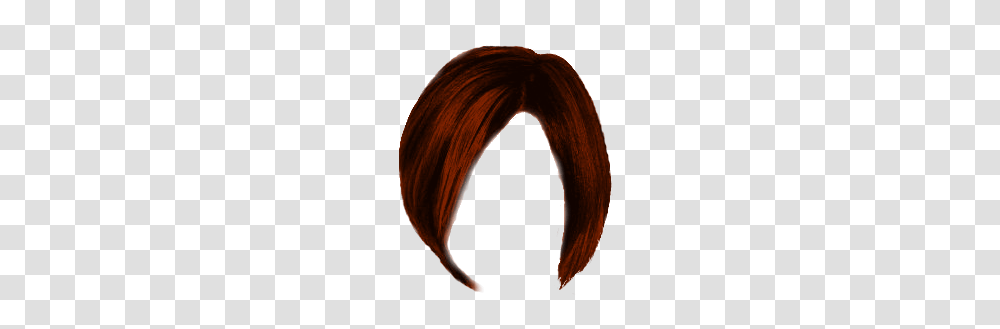 Image, Hair, Wig, Painting Transparent Png