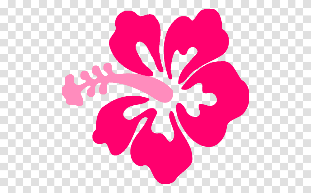 Image, Hibiscus, Flower, Plant, Blossom Transparent Png