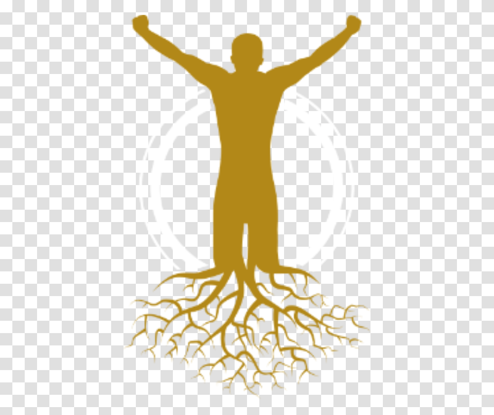 Image High Resolution Background Tree With Roots, Plant, Produce, Food, Vegetable Transparent Png