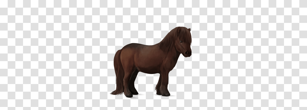 Image, Horse, Mammal, Animal, Colt Horse Transparent Png