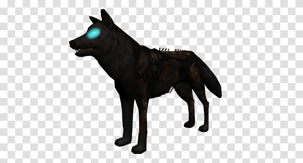 Image, Horse, Mammal, Animal, Wolf Transparent Png