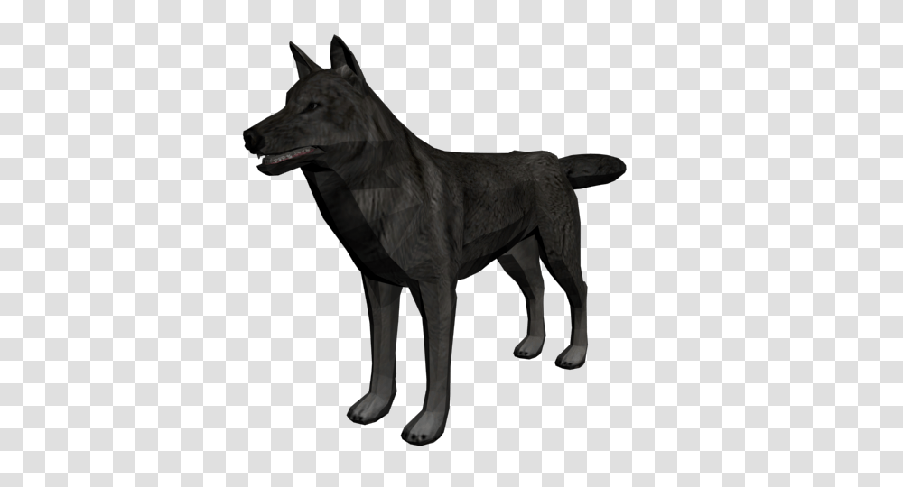 Image, Horse, Mammal, Animal, Wolf Transparent Png