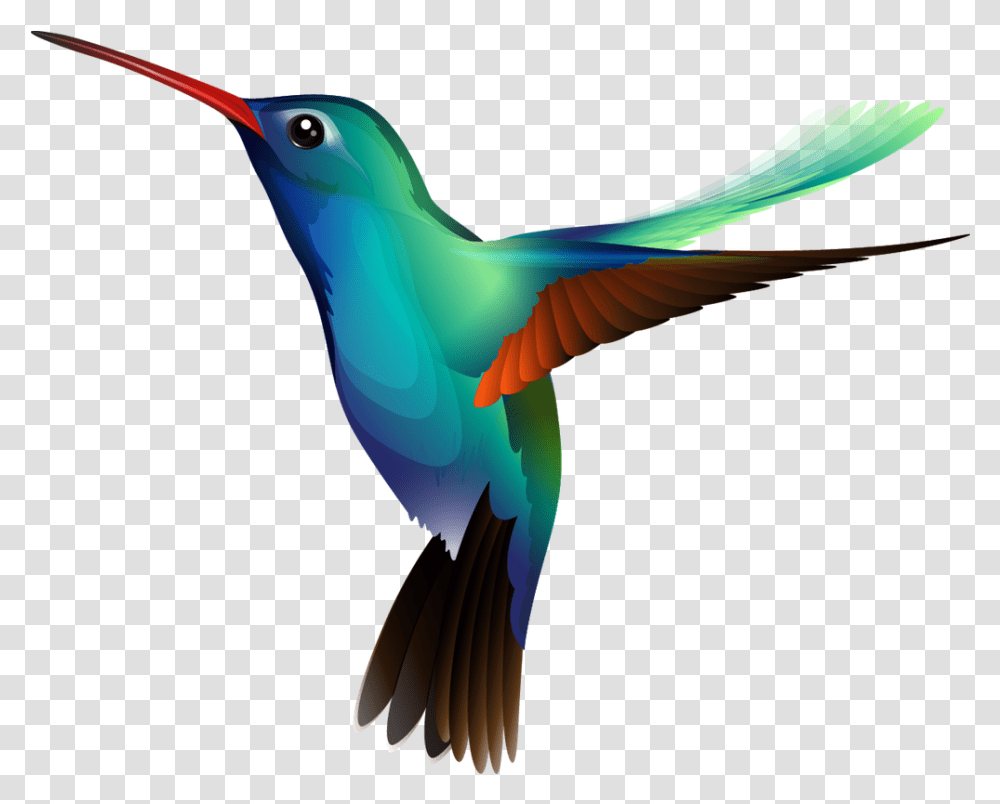 Image Hover Stack For Rapidweaver Bee Hummingbird, Bee Eater, Animal, Beak, Flying Transparent Png