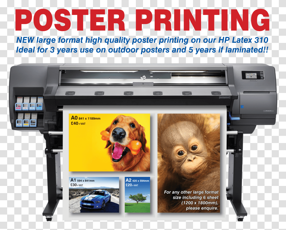 Image Hp Latex 310 Printer, Machine, Dog, Pet, Canine Transparent Png