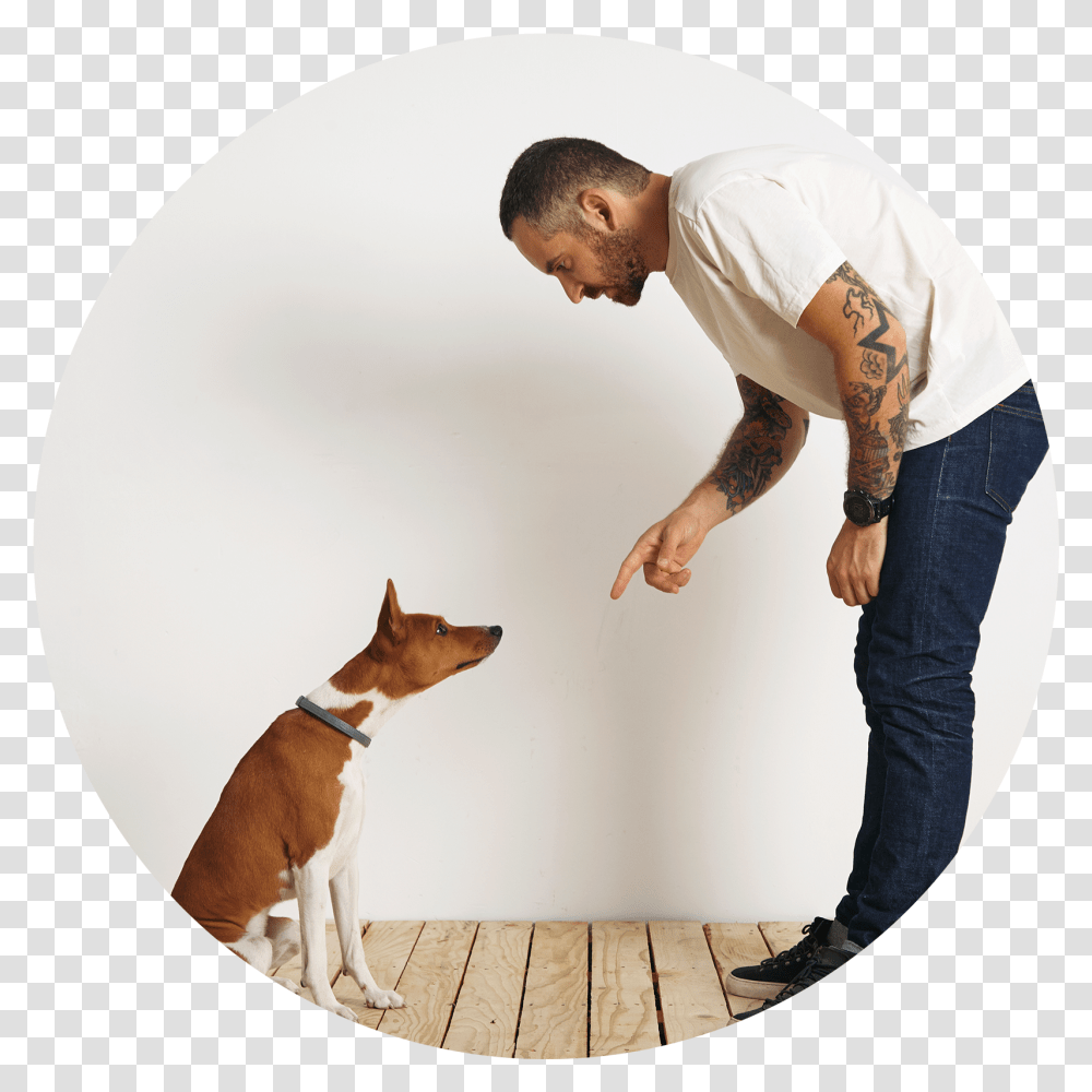 Image Icon Bull Terrier, Person, Dog, Pet, Animal Transparent Png