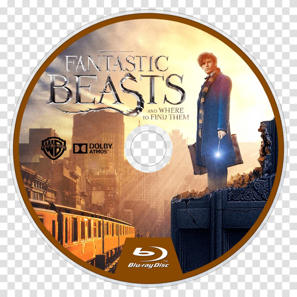 Image Id Fantastic Beast And Where To Find Them Bluray Disc, Disk, Person, Human, Dvd Transparent Png