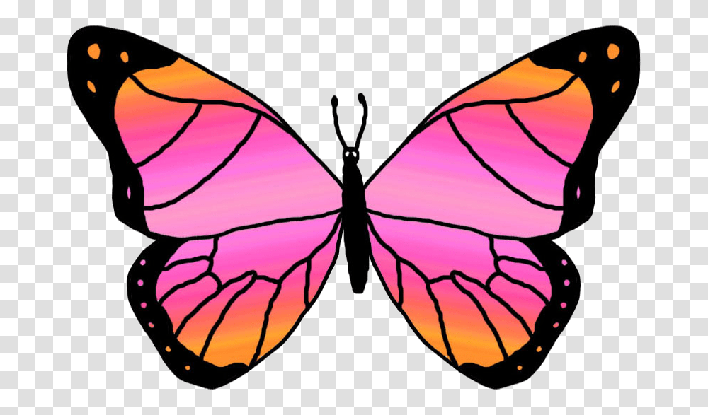 Image, Insect, Invertebrate, Animal, Butterfly Transparent Png