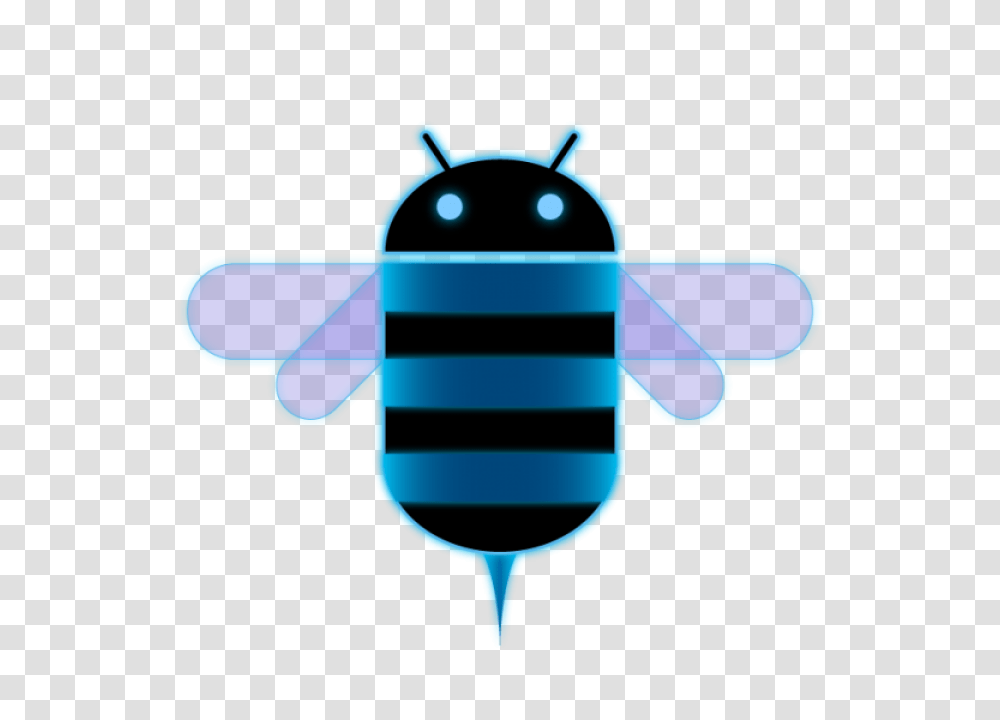 Image, Insect, Invertebrate, Animal, Firefly Transparent Png