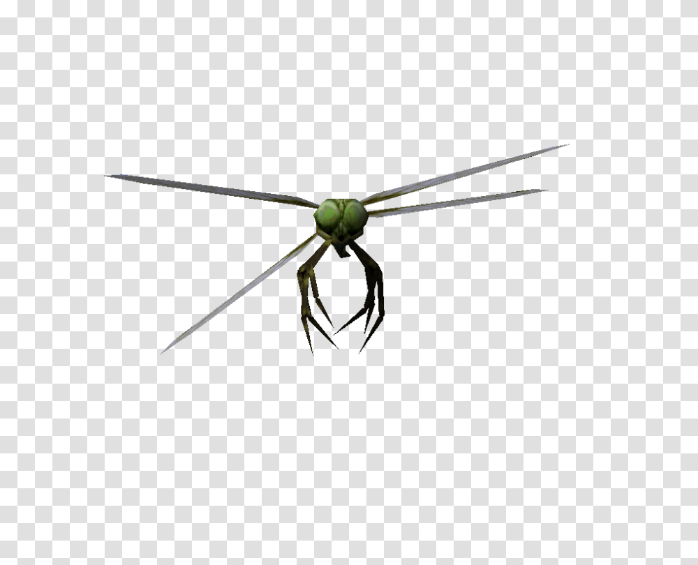 Image, Insect, Invertebrate, Animal, Wasp Transparent Png